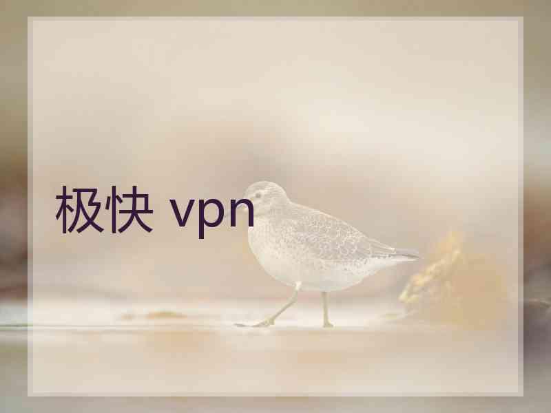 极快 vpn