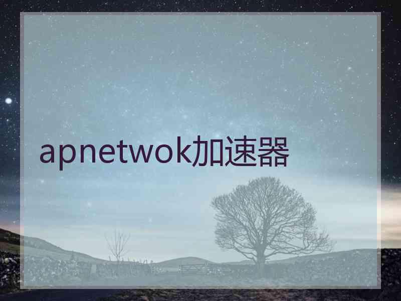 apnetwok加速器