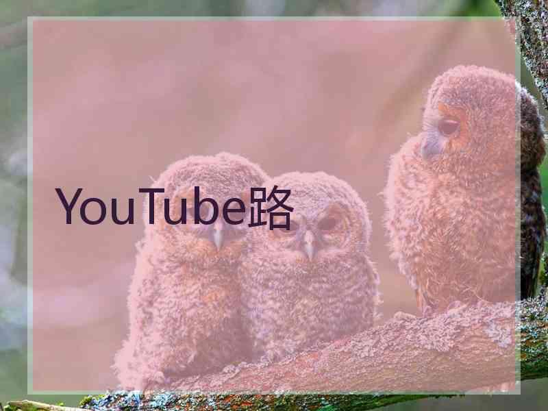 YouTube路