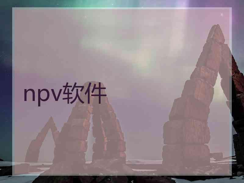 npv软件