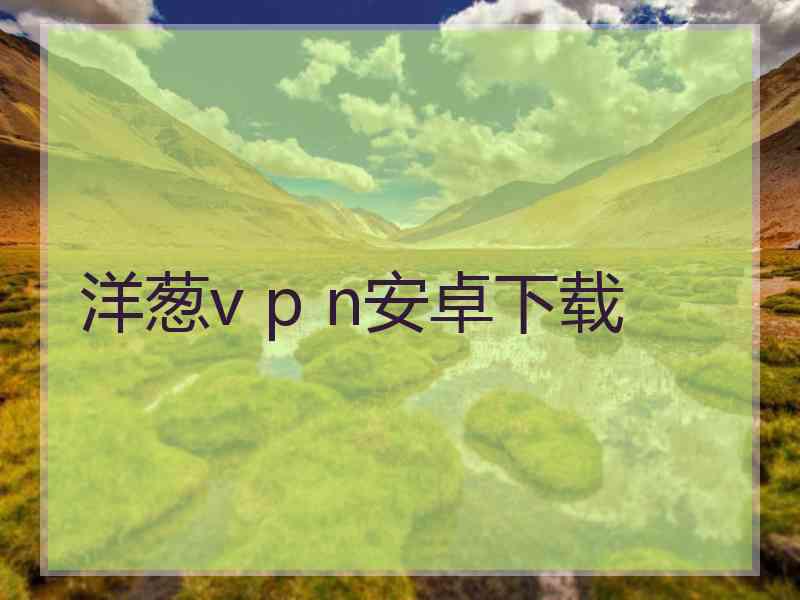 洋葱v p n安卓下载