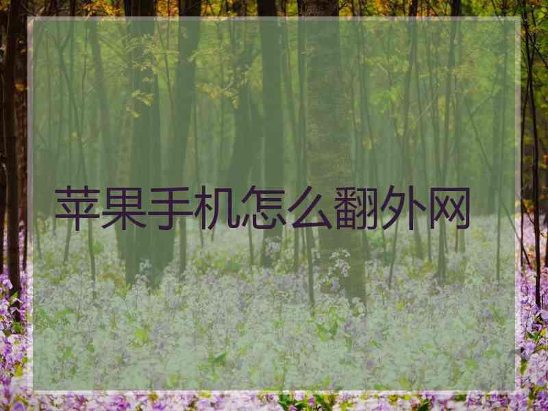 苹果手机怎么翻外网