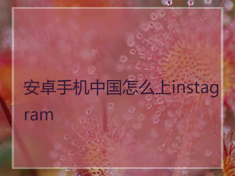 安卓手机中国怎么上instagram