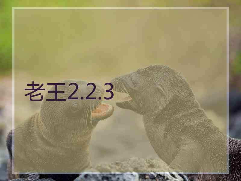 老王2.2.3