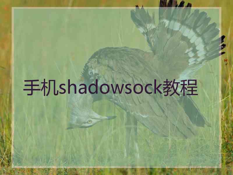 手机shadowsock教程