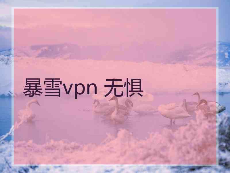 暴雪vpn 无惧