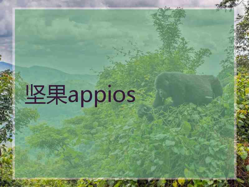 坚果appios