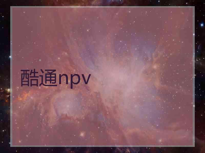 酷通npv