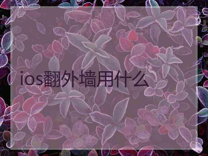 ios翻外墙用什么