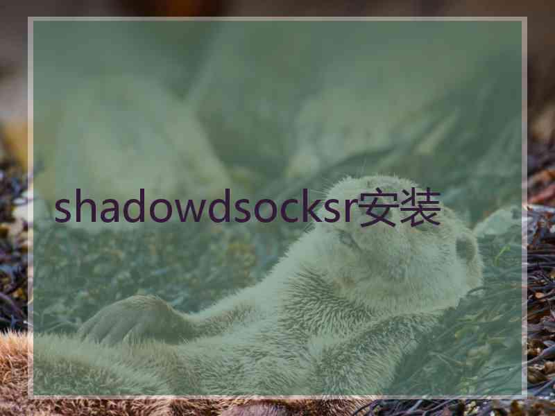 shadowdsocksr安装