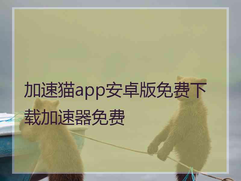 加速猫app安卓版免费下载加速器免费