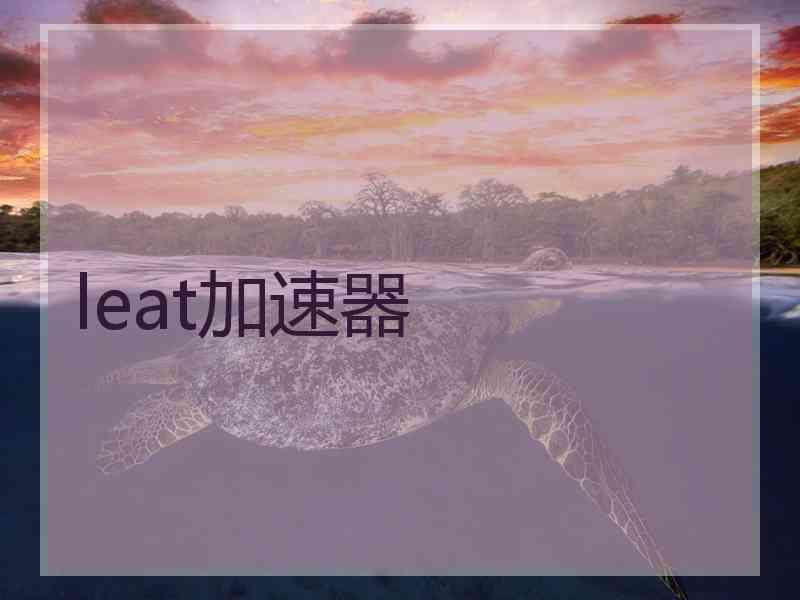 leat加速器