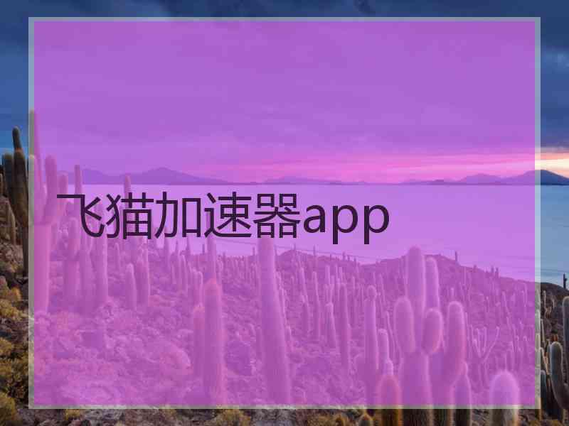 飞猫加速器app