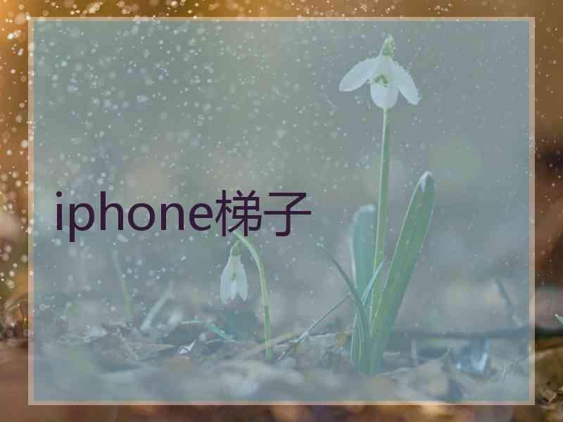 iphone梯子