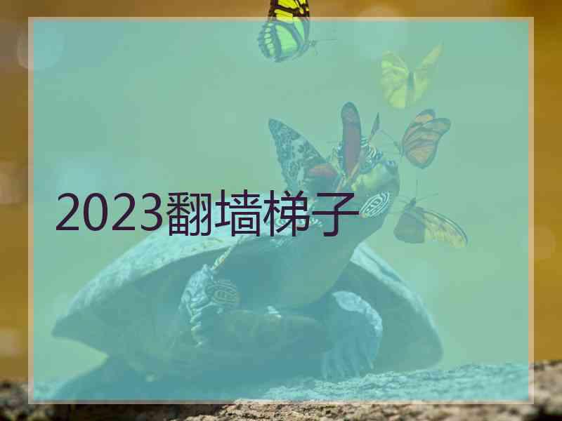 2023翻墙梯子