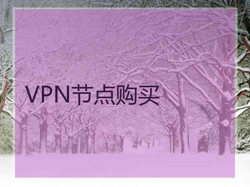 VPN节点购买