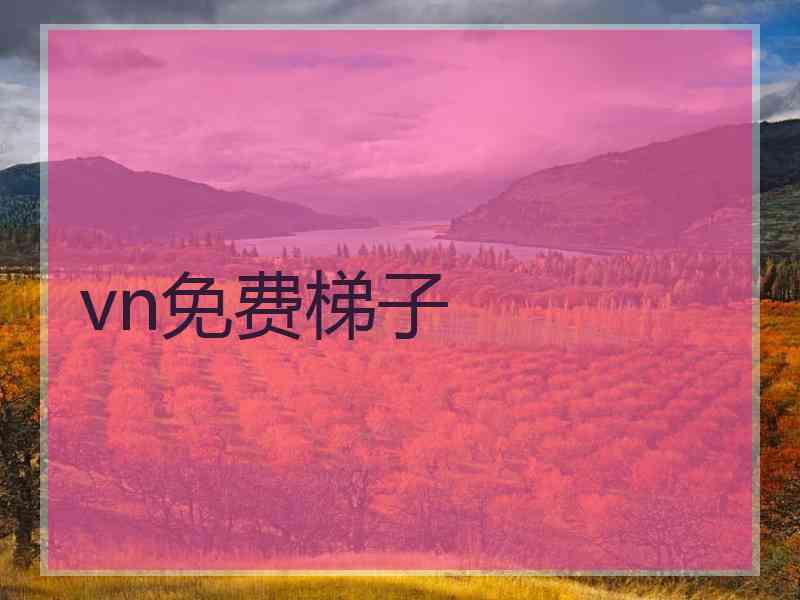 vn免费梯子