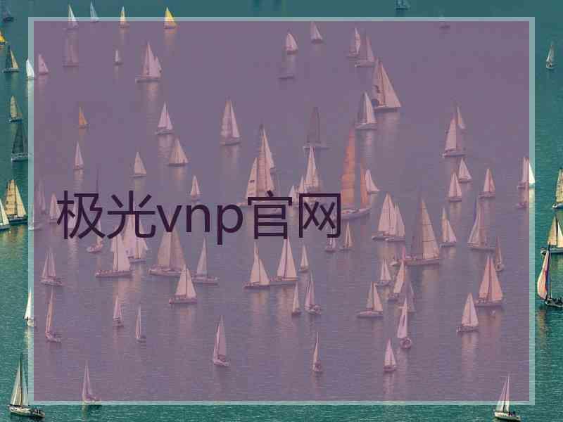 极光vnp官网