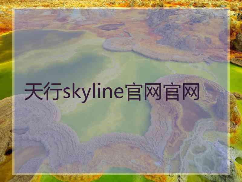 天行skyline官网官网