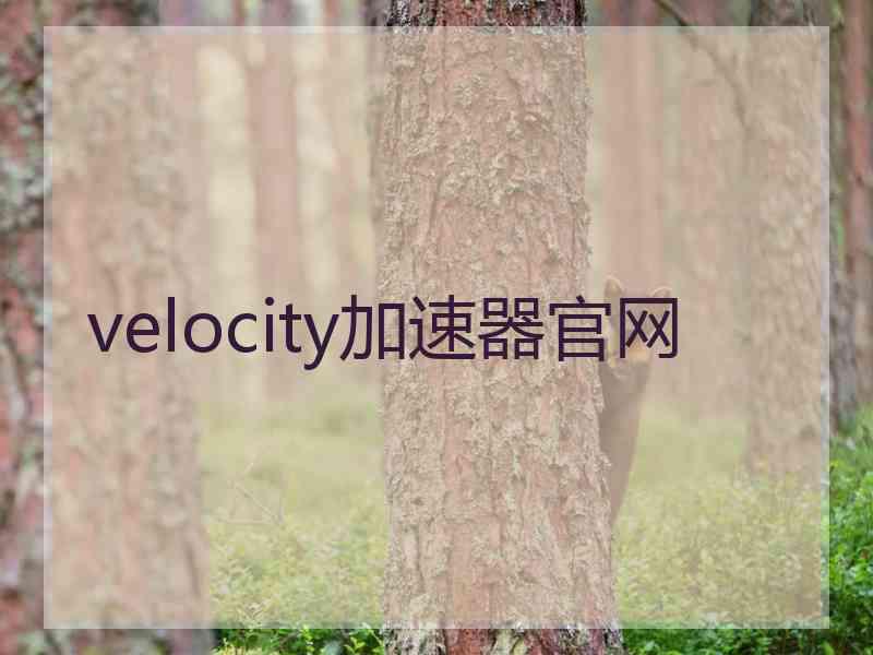 velocity加速器官网