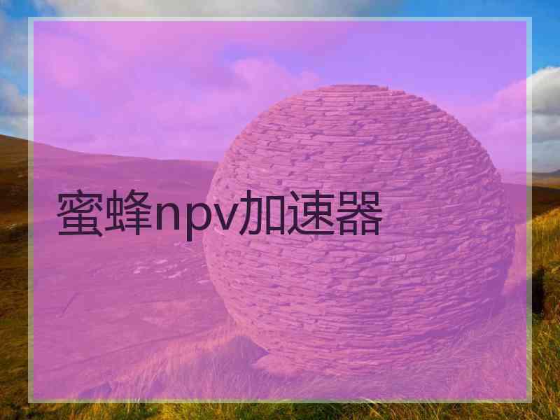 蜜蜂npv加速器