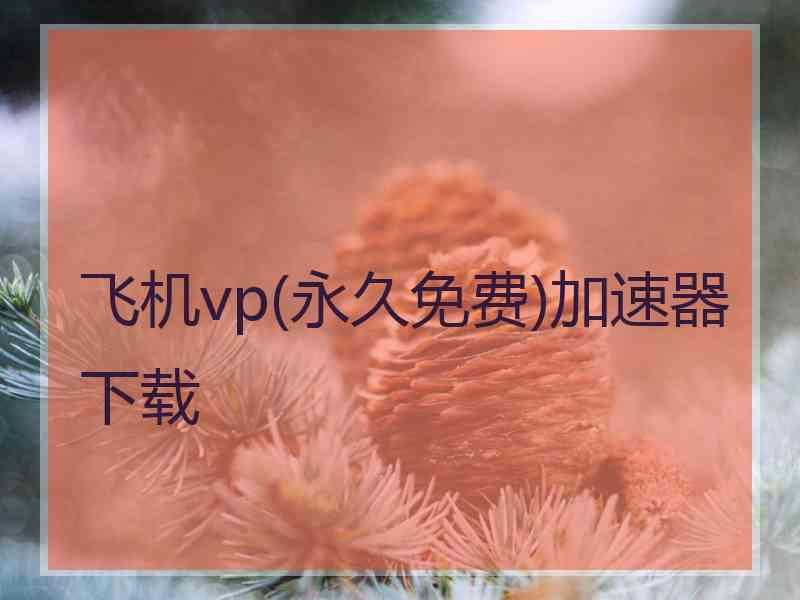 飞机vp(永久免费)加速器下载