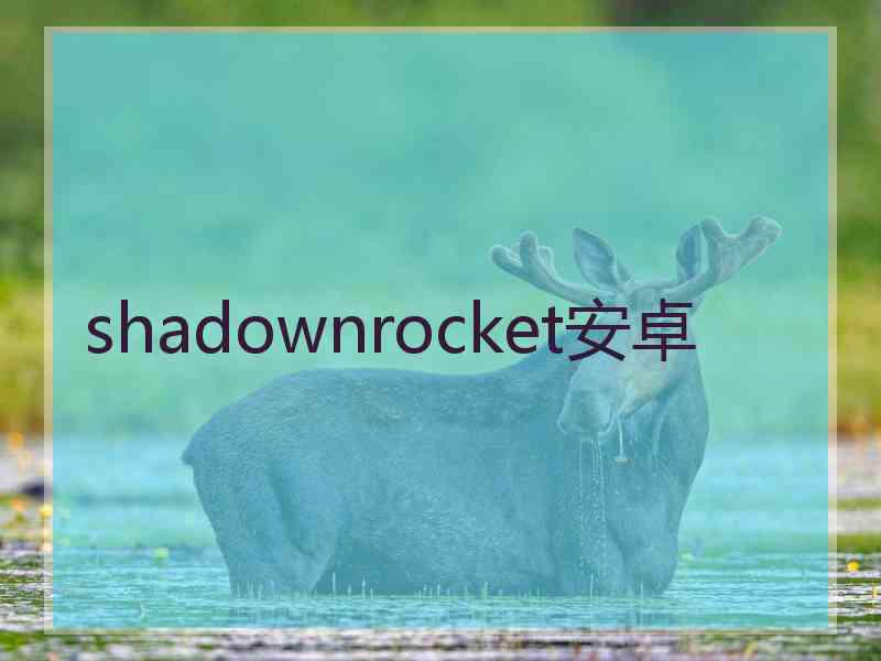 shadownrocket安卓