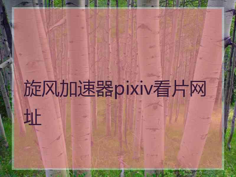 旋风加速器pixiv看片网址