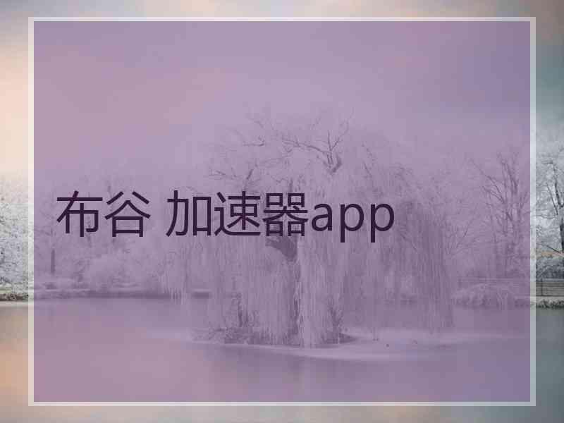 布谷 加速器app