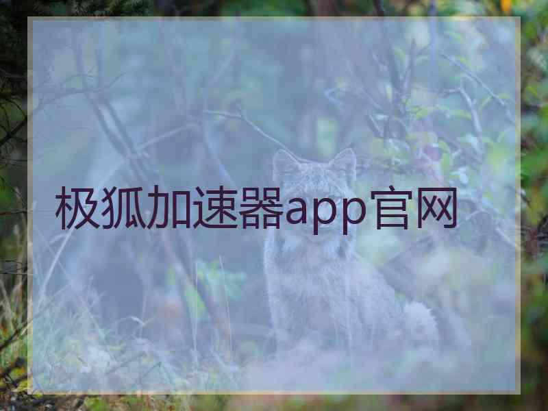 极狐加速器app官网