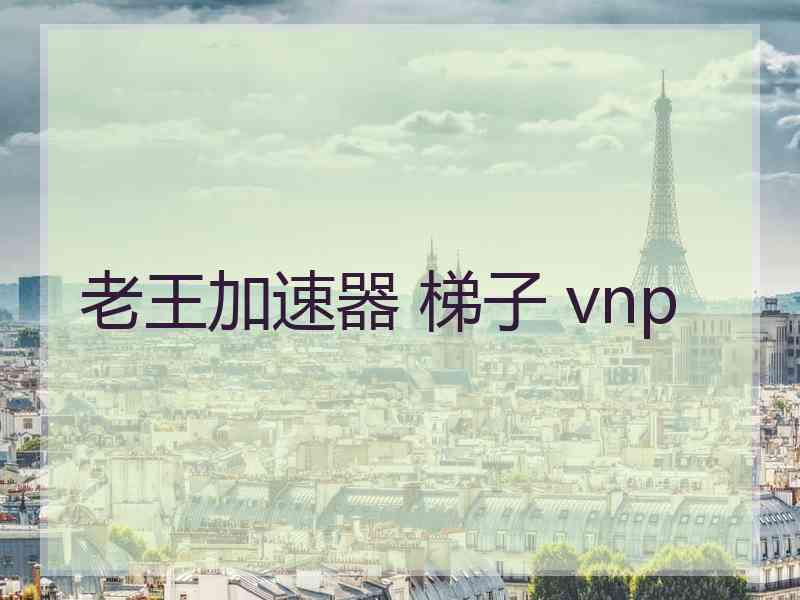 老王加速器 梯子 vnp