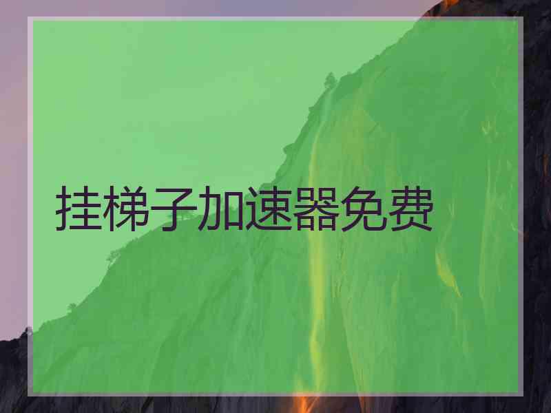 挂梯子加速器免费