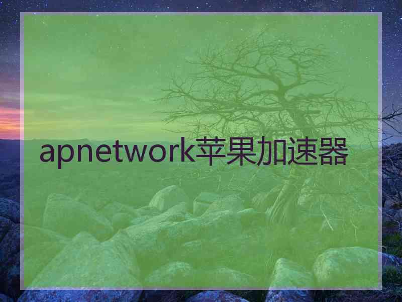 apnetwork苹果加速器