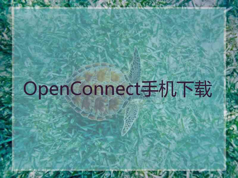 OpenConnect手机下载