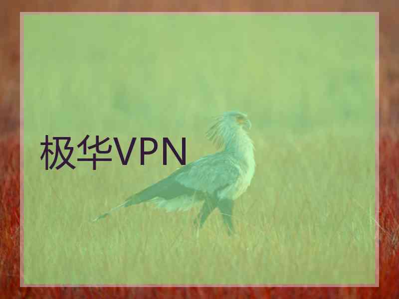 极华VPN