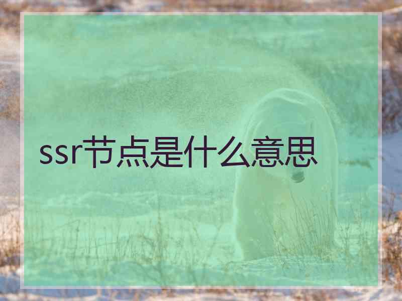 ssr节点是什么意思