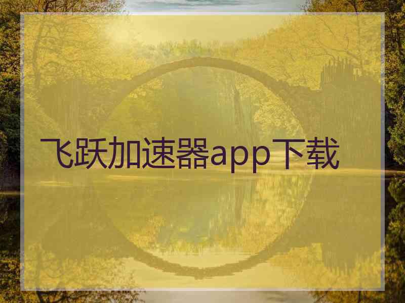 飞跃加速器app下载