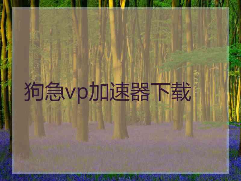 狗急vp加速器下载