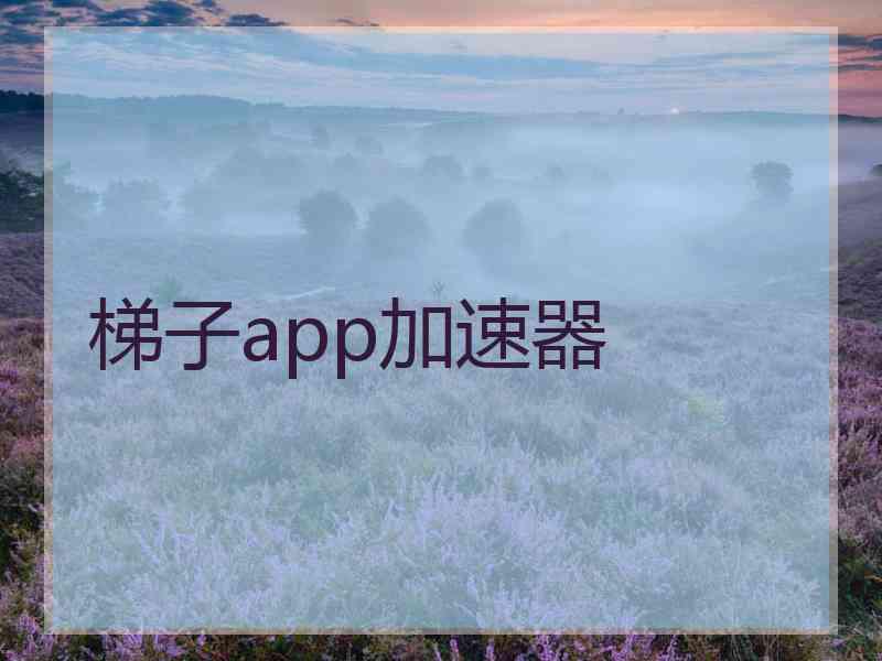 梯子app加速器