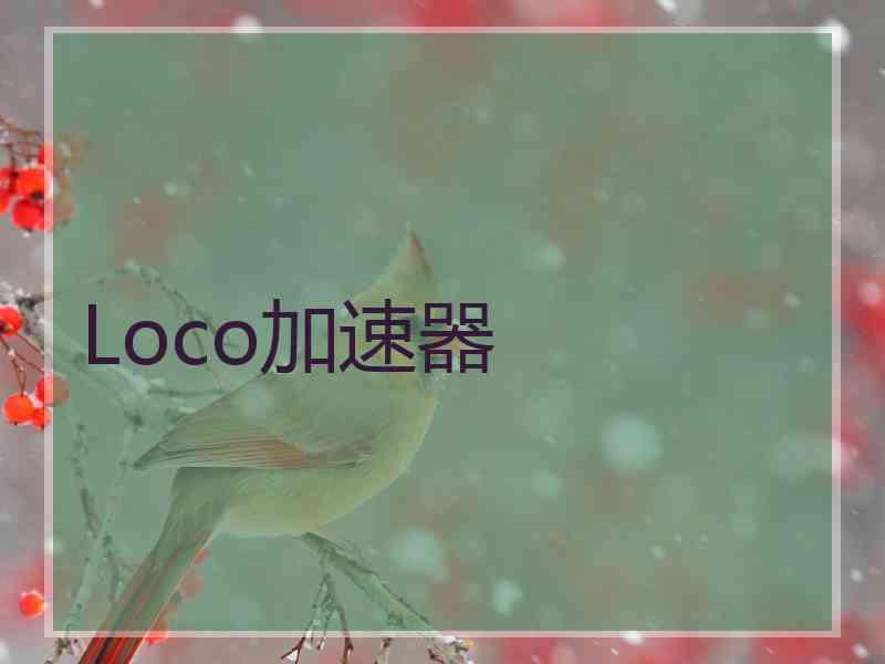 Loco加速器