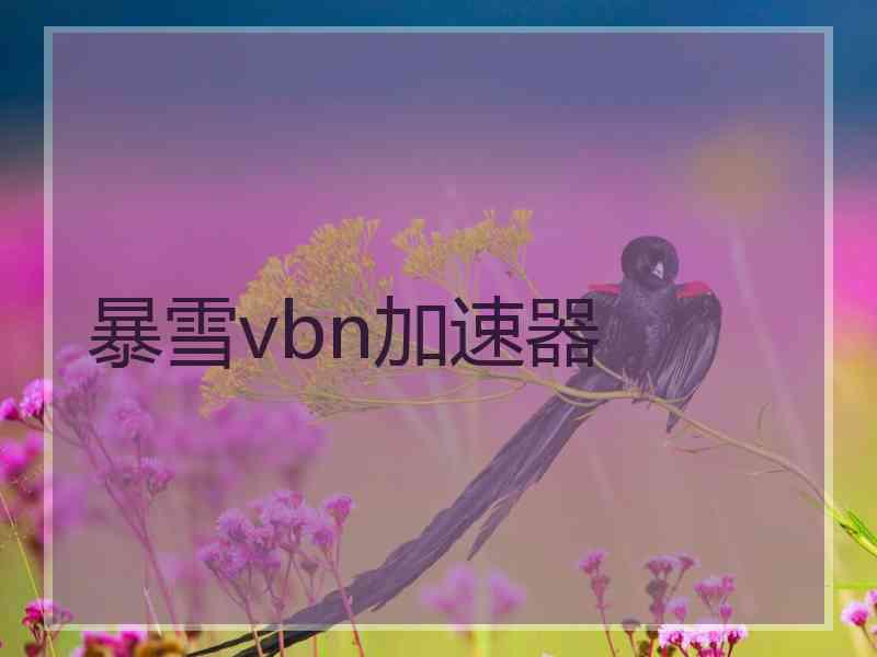 暴雪vbn加速器