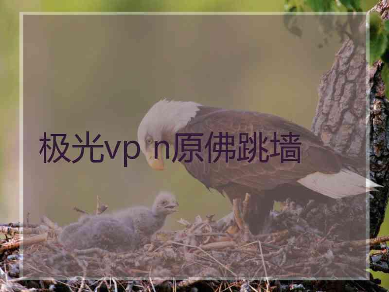 极光vp n原佛跳墙