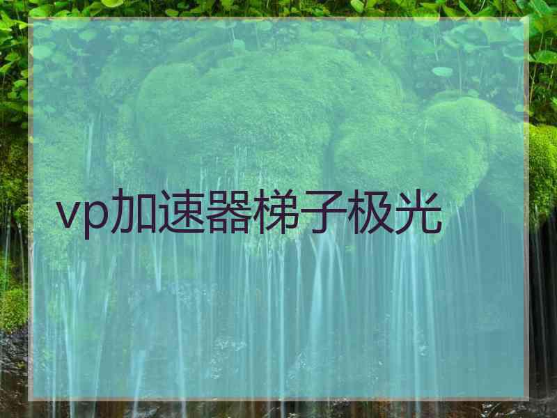 vp加速器梯子极光