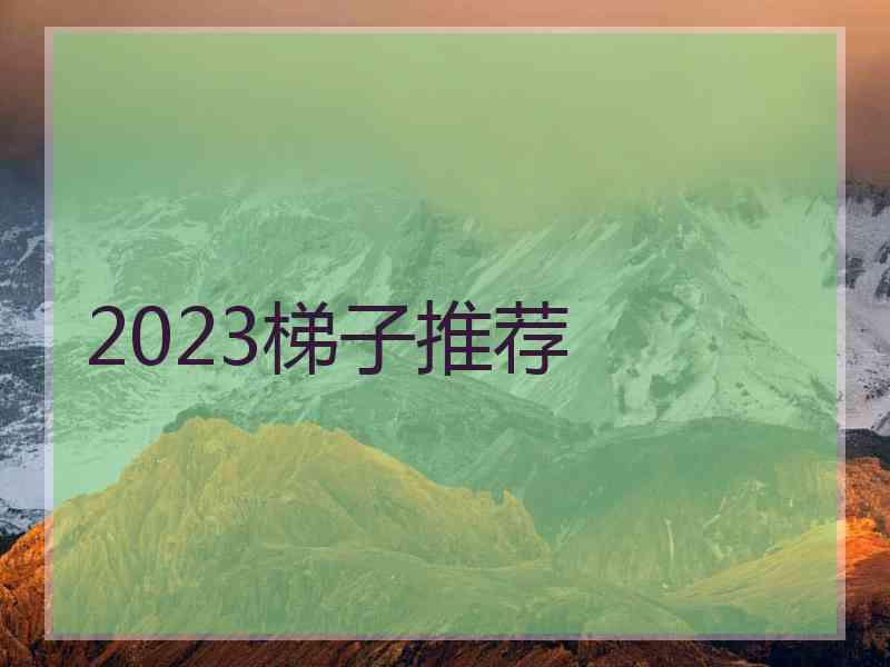 2023梯子推荐