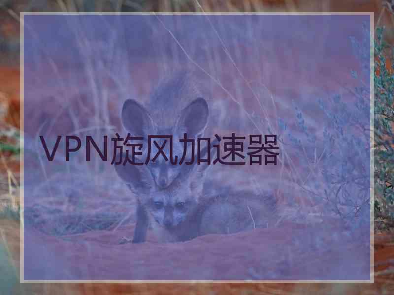 VPN旋风加速器