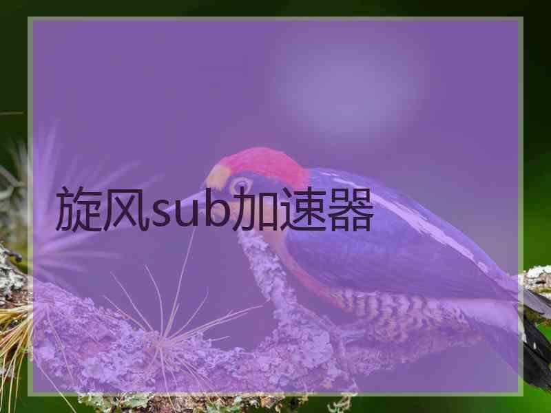 旋风sub加速器