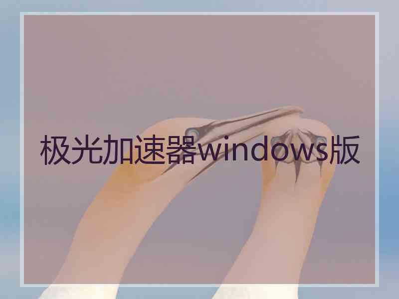 极光加速器windows版