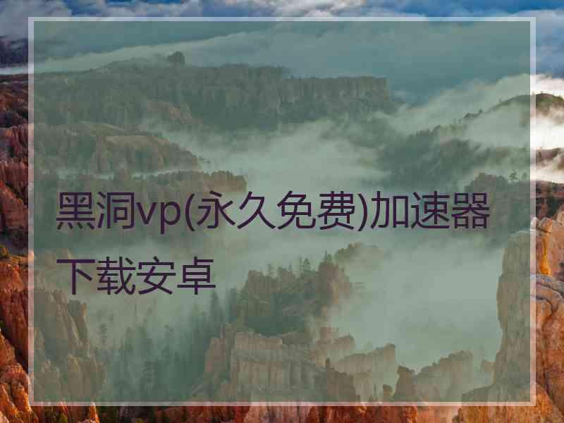 黑洞vp(永久免费)加速器下载安卓