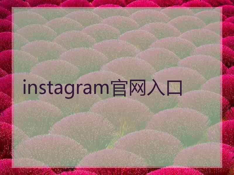 instagram官网入口