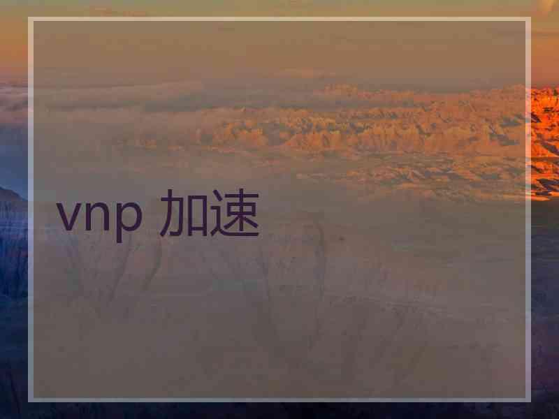 vnp 加速